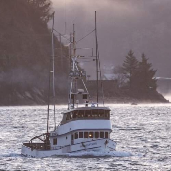 🏴‍☠️☠️💀❤️Hello Posh Friends! Here is a little bit about me and mine❤️💀☠️🏴‍☠️ - Picture 12 of 12